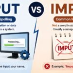 Input vs Imput